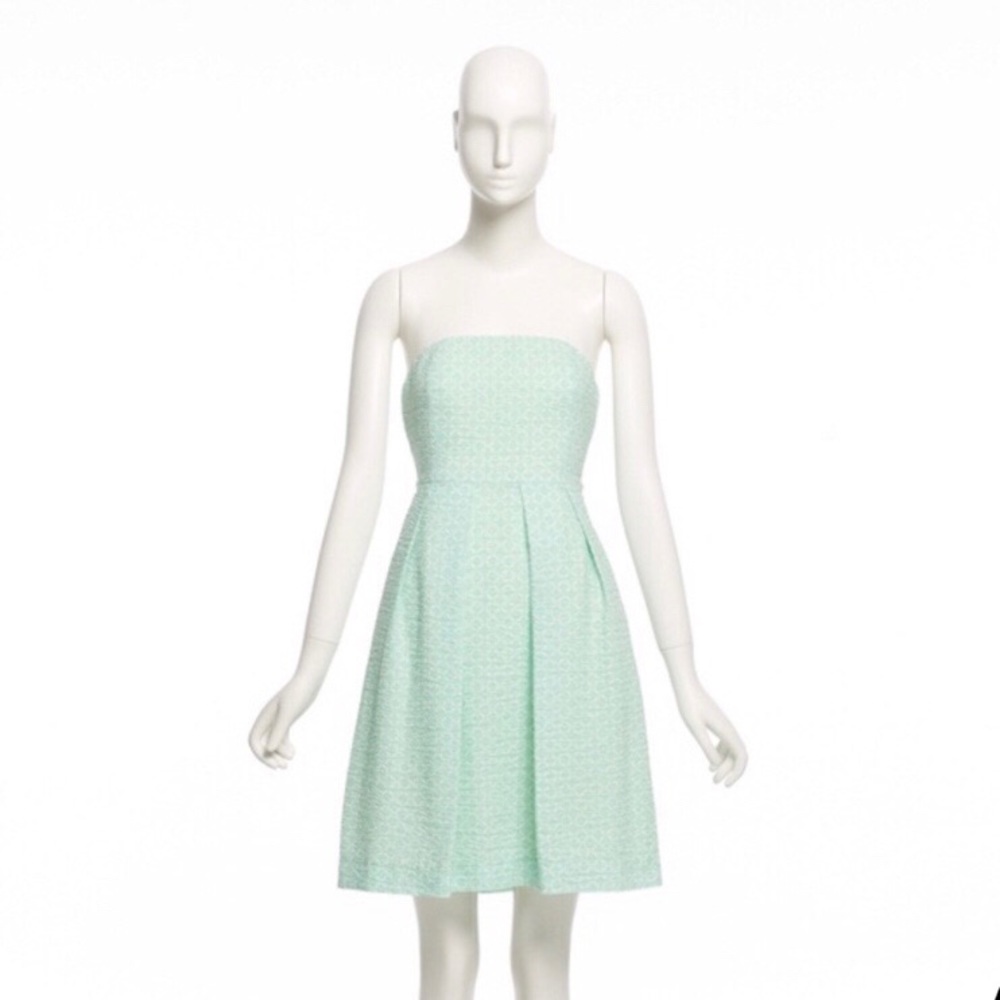 Size 6 J. Crew Mint Green Lorelei Dress